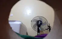 لطيف امرأة سمراء يظهر الثدي وجمل.