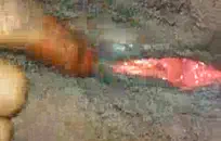 زوجة bbw الملاعين نفسها مع دسار و cums في.