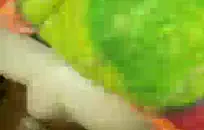 الحمار سامانثا الخطيئة لطيف جدا