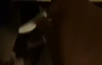 فاتنة لطيف مع ركوب الحمار كبيرة على دسار.