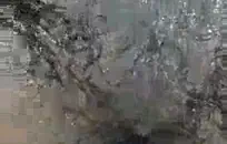 اعاقبهم بالجلد يا عبدي