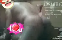 مسمار ديك كبيرة الهزات قبالة على السرير.