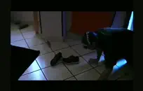 الملاعين صوفيا جريس أمام زوجها.