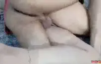 الجراء الإباحية، الإصدار 13.