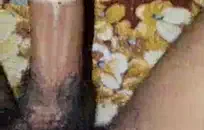 رائع مفلس أحمر فاتنة يحصل بوسها والحمار محشوة.