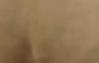 نائب الرئيس علي ثم بعض كس حسب الذوق.