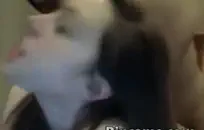 يا صاح، هل رأيت حجم كس هذه الفتاة؟ أعتقد أنه موجود لإبقاء اللاعبين مثلنا مستمتعين طوال اليوم